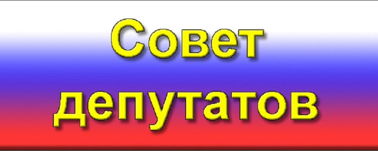 Участие в заседании Совета депутатов Павлово-Посадского городского округа